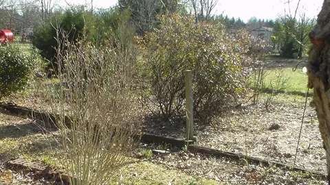 497 Diamond Hill Colbert Rd, Colbert, GA 30628 photo 8
