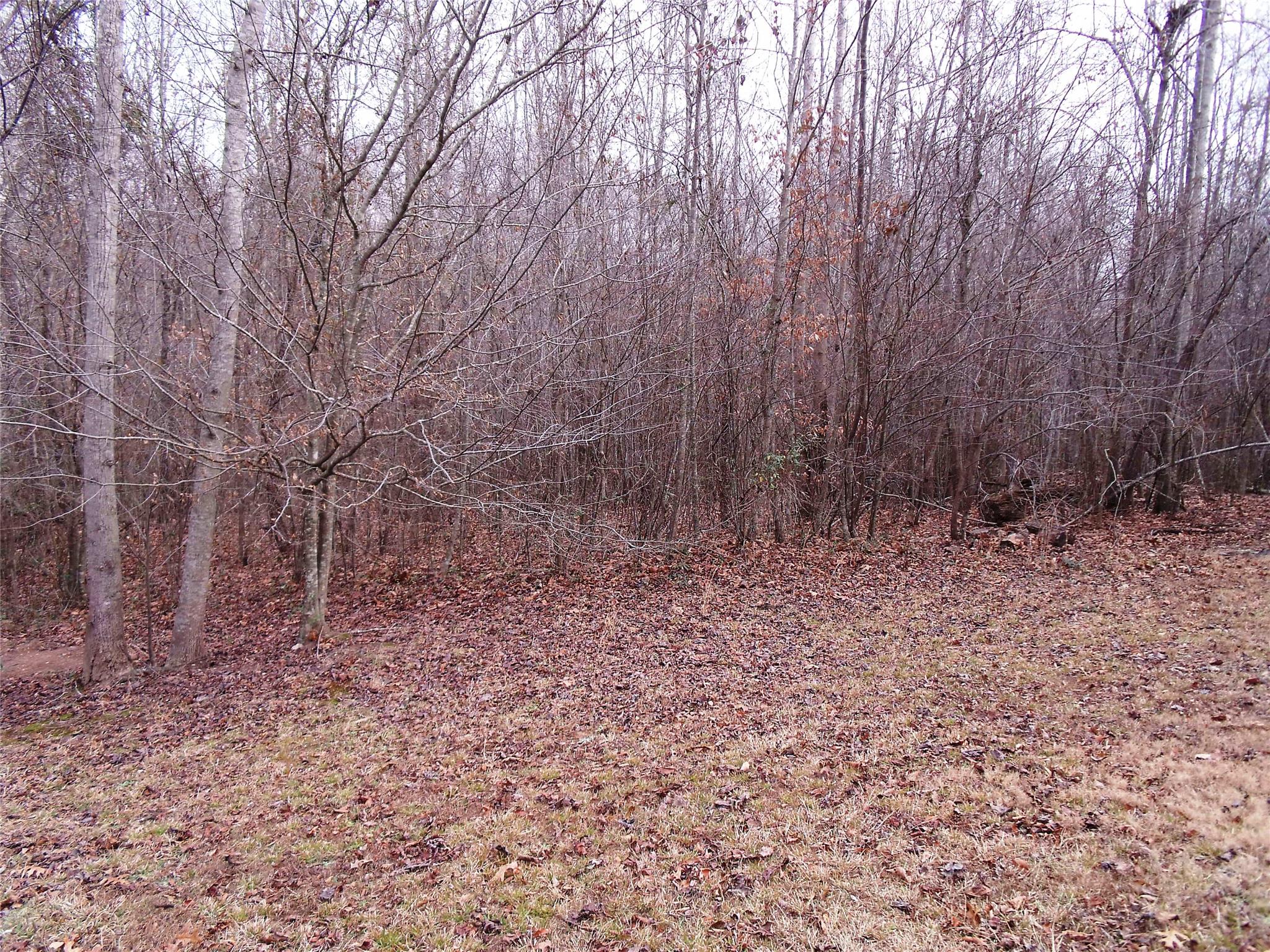 310 Greentree Trl, Temple, GA 30179 photo 10