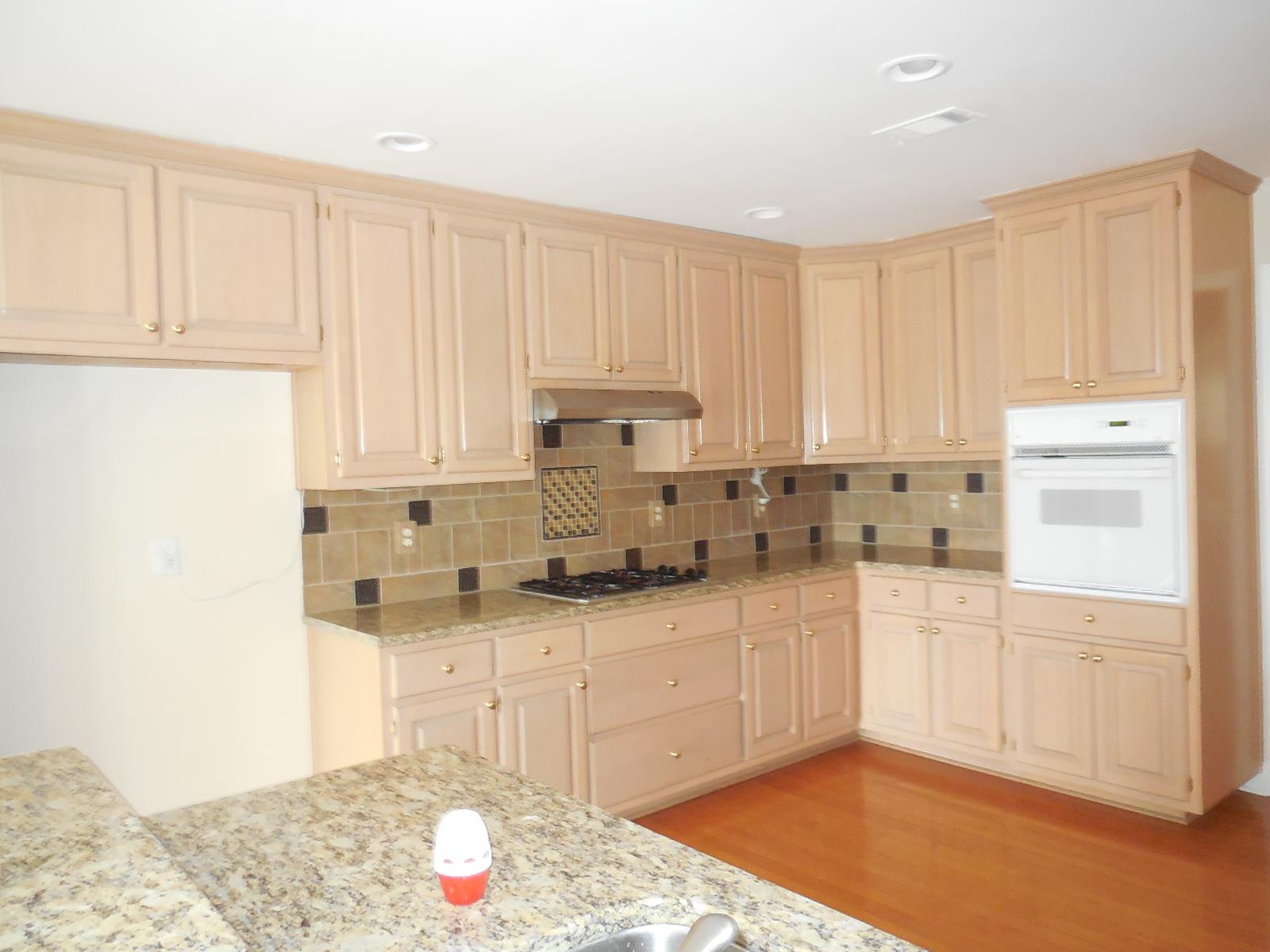 159 Shoreline Way, Hampton, GA 30228 photo 5