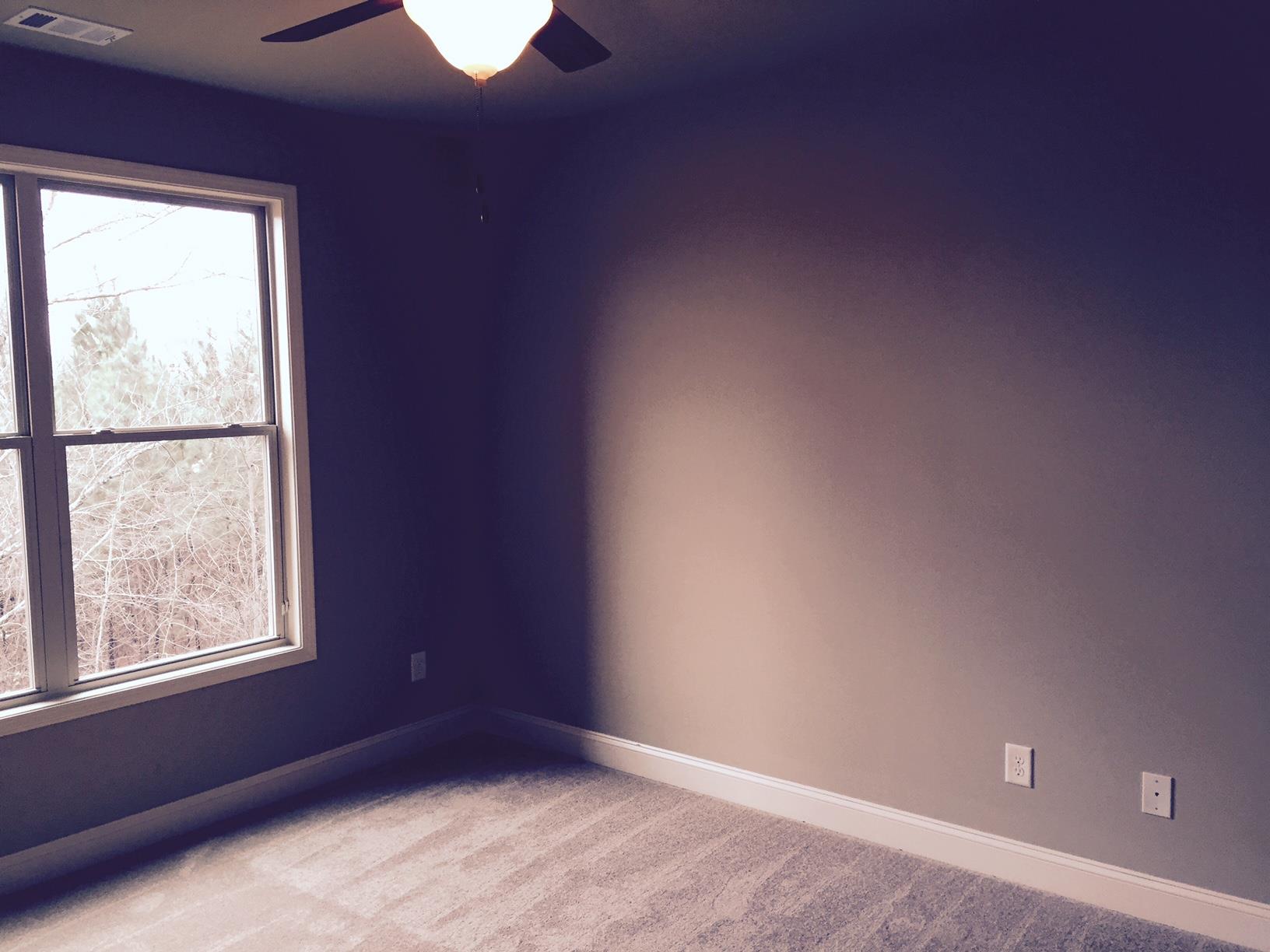 2525 Lake Erma Dr, Hampton, GA 30228 photo 8