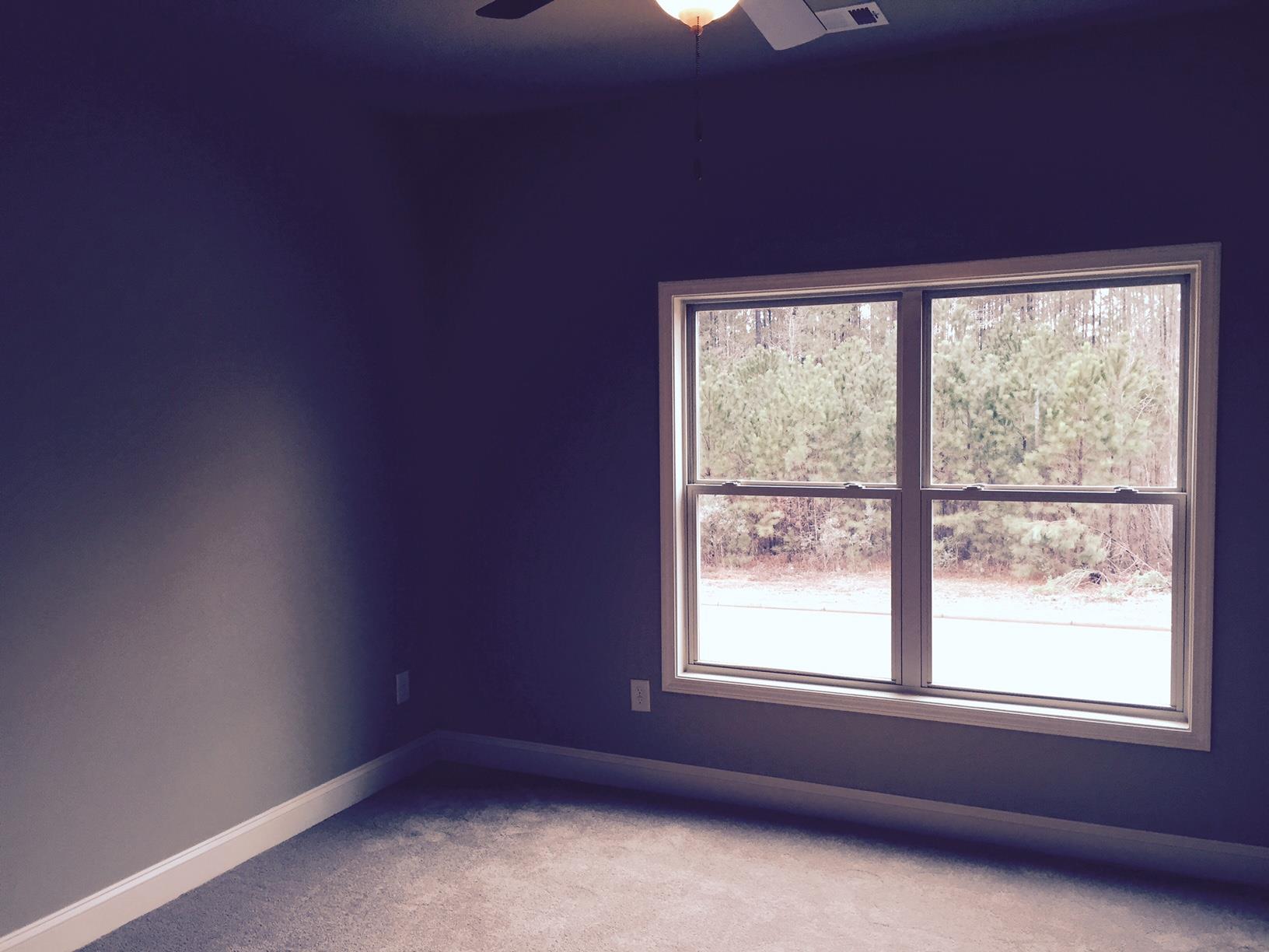 2525 Lake Erma Dr, Hampton, GA 30228 photo 11