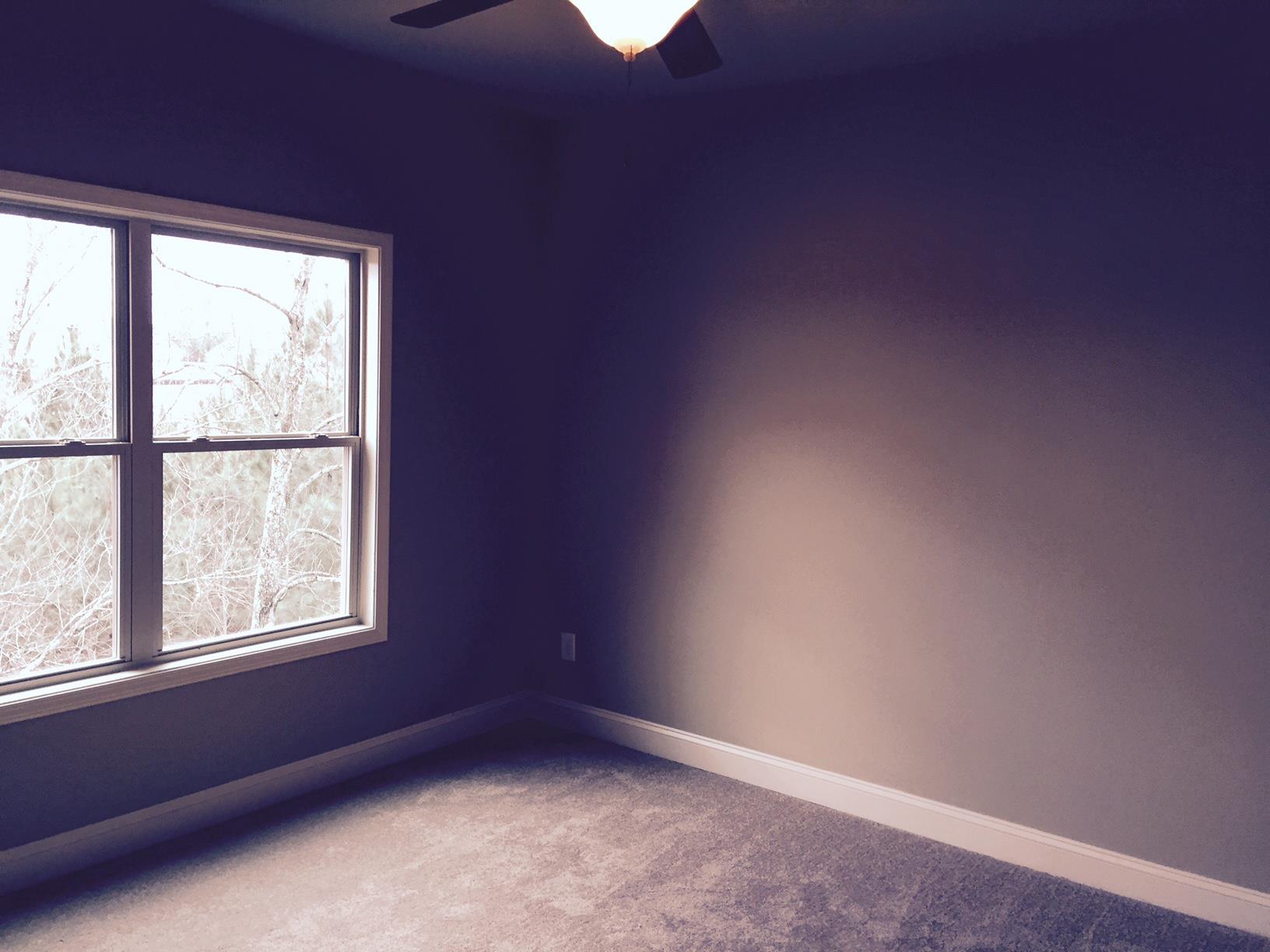 2525 Lake Erma Dr, Hampton, GA 30228 photo 20