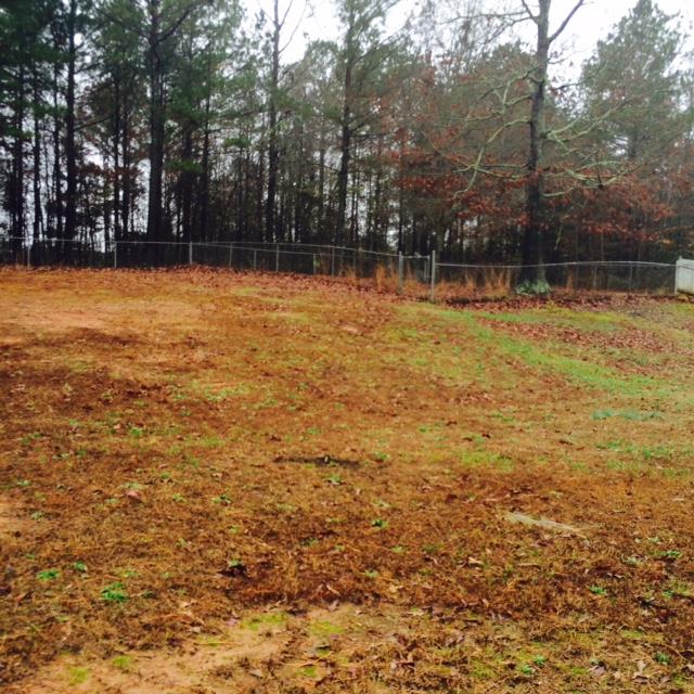 230 Mountainview Dr, Covington, GA 30016 photo 2