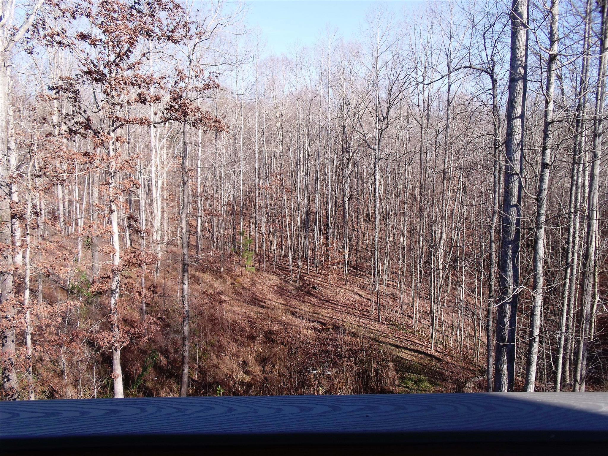 39 Wheaton Ct, Temple, GA 30179 photo 9