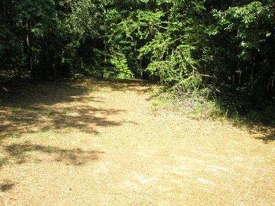 13820 Panhandle Ln, Hampton, GA 30228 photo 4
