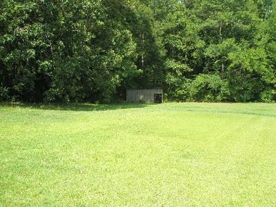 13820 Panhandle Ln, Hampton, GA 30228 photo 3