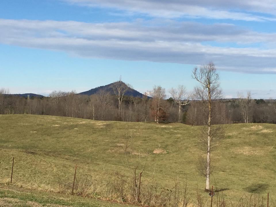 257 Gulley Rd, Toccoa, GA 30577 photo 6