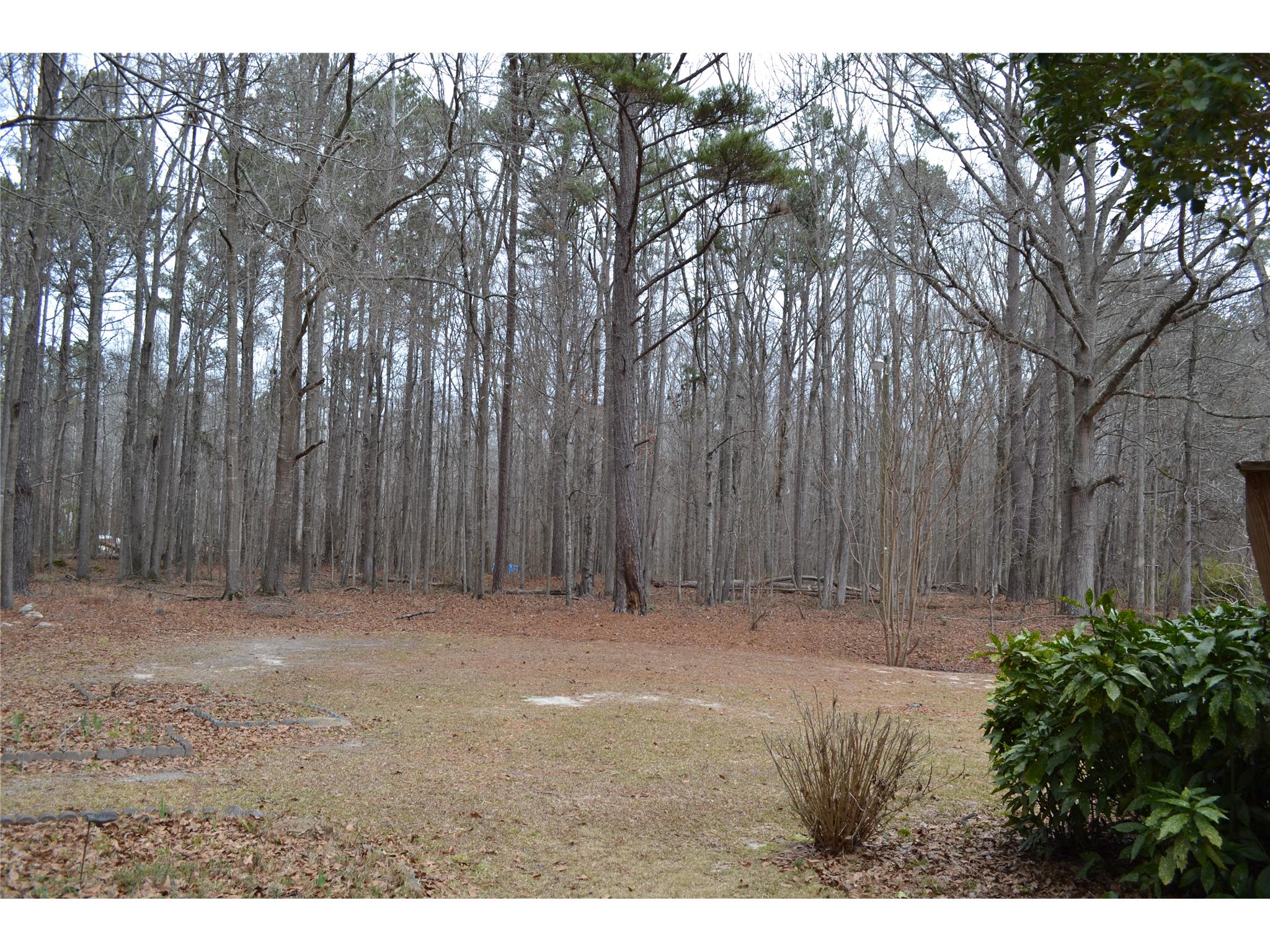 540 Anthony Dr, Tyrone, GA 30290 photo 13