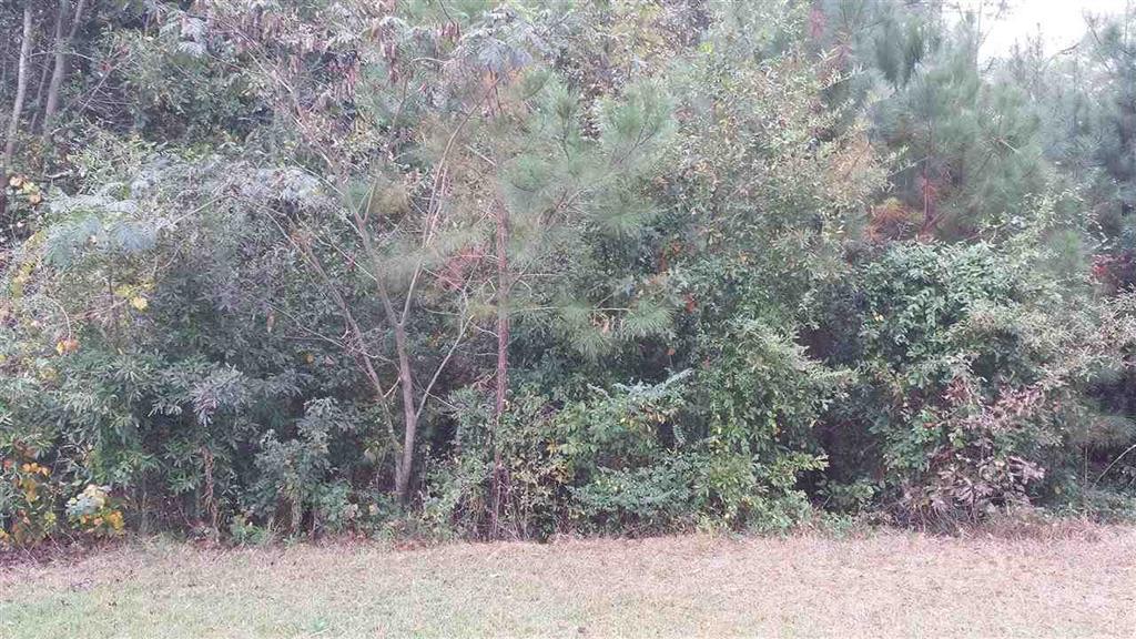 136 Marcar Rd, Macon, GA 31216 photo 1