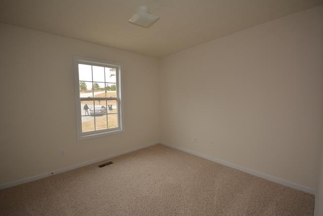 112 Slash Pine Dr, Temple, GA 30179 photo 9