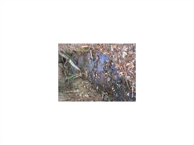 335 Basia Ln, Jasper, GA 30143 photo 2