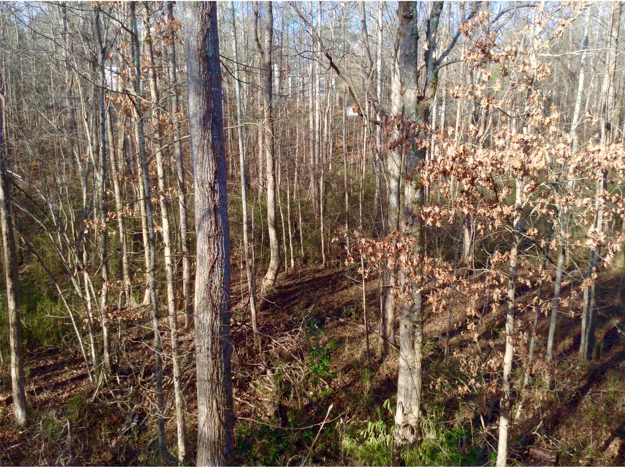 1556 Riverview Rd, Monroe, GA 30655 photo 21