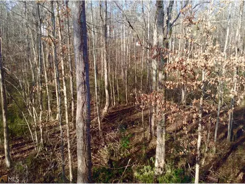 1556 Riverview Rd, Monroe, GA 30655 photo 21