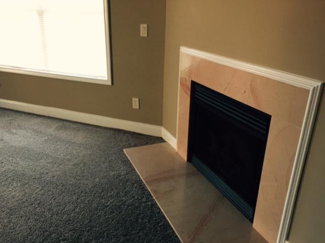 3137 Alhambra Cir, Hampton, GA 30228 photo 14