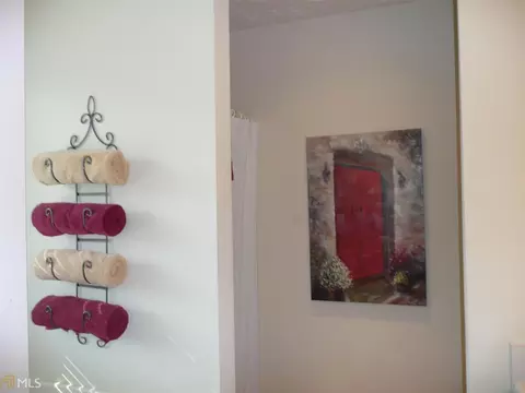 106 Meadow Spring Ct, Temple, GA 30179 photo 11
