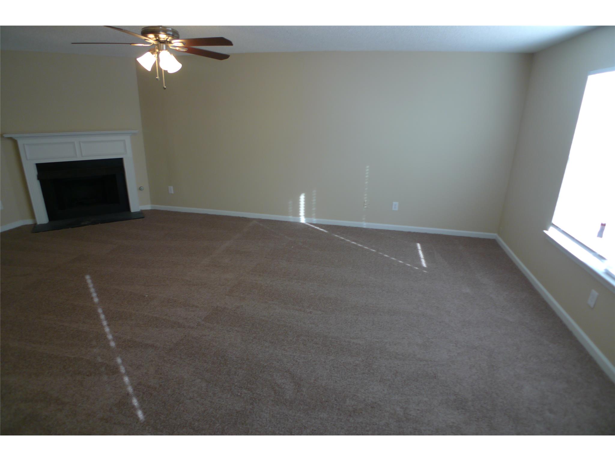 169 Kyndal Dr, Hampton, GA 30228 photo 8