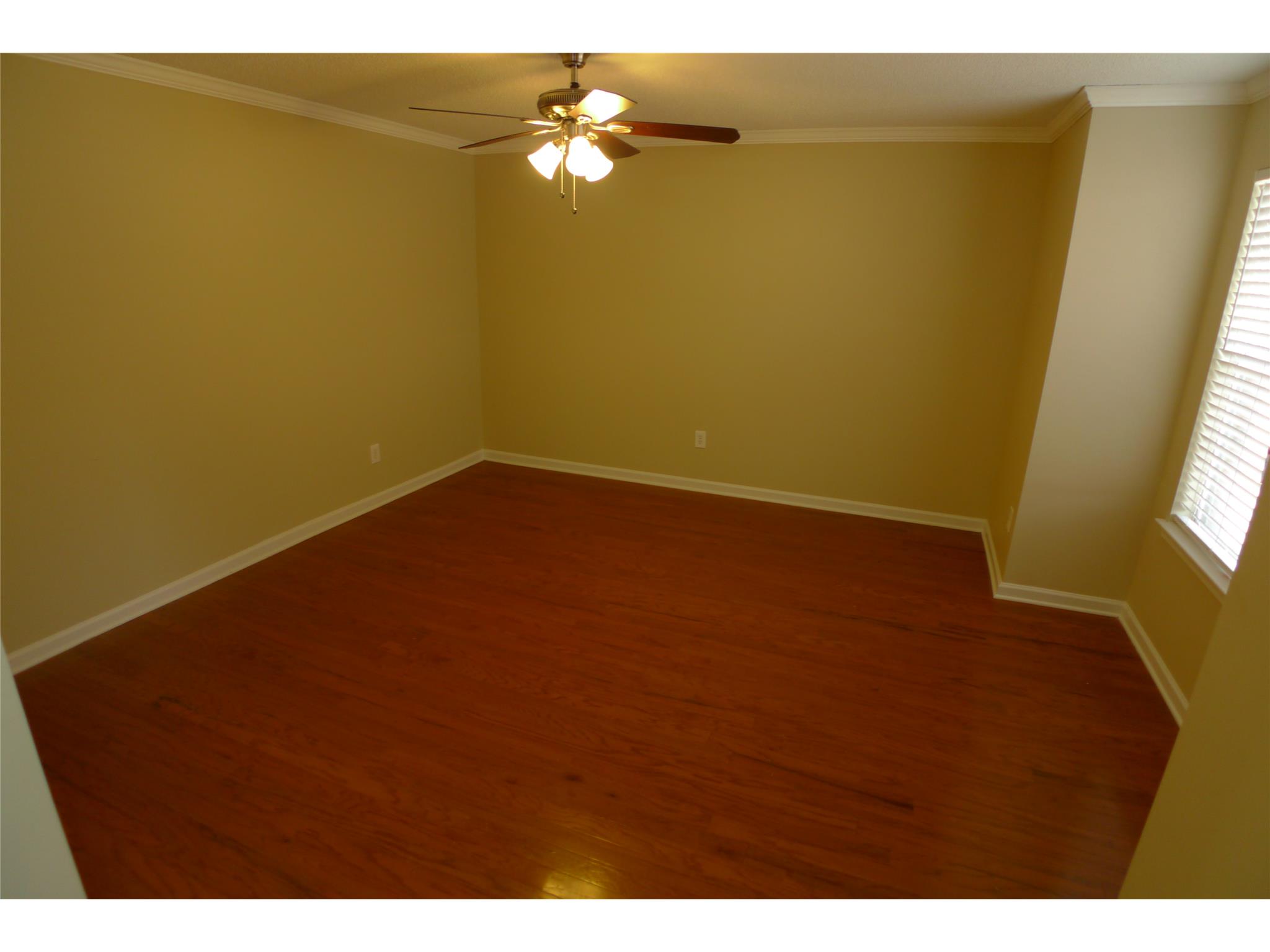 169 Kyndal Dr, Hampton, GA 30228 photo 3