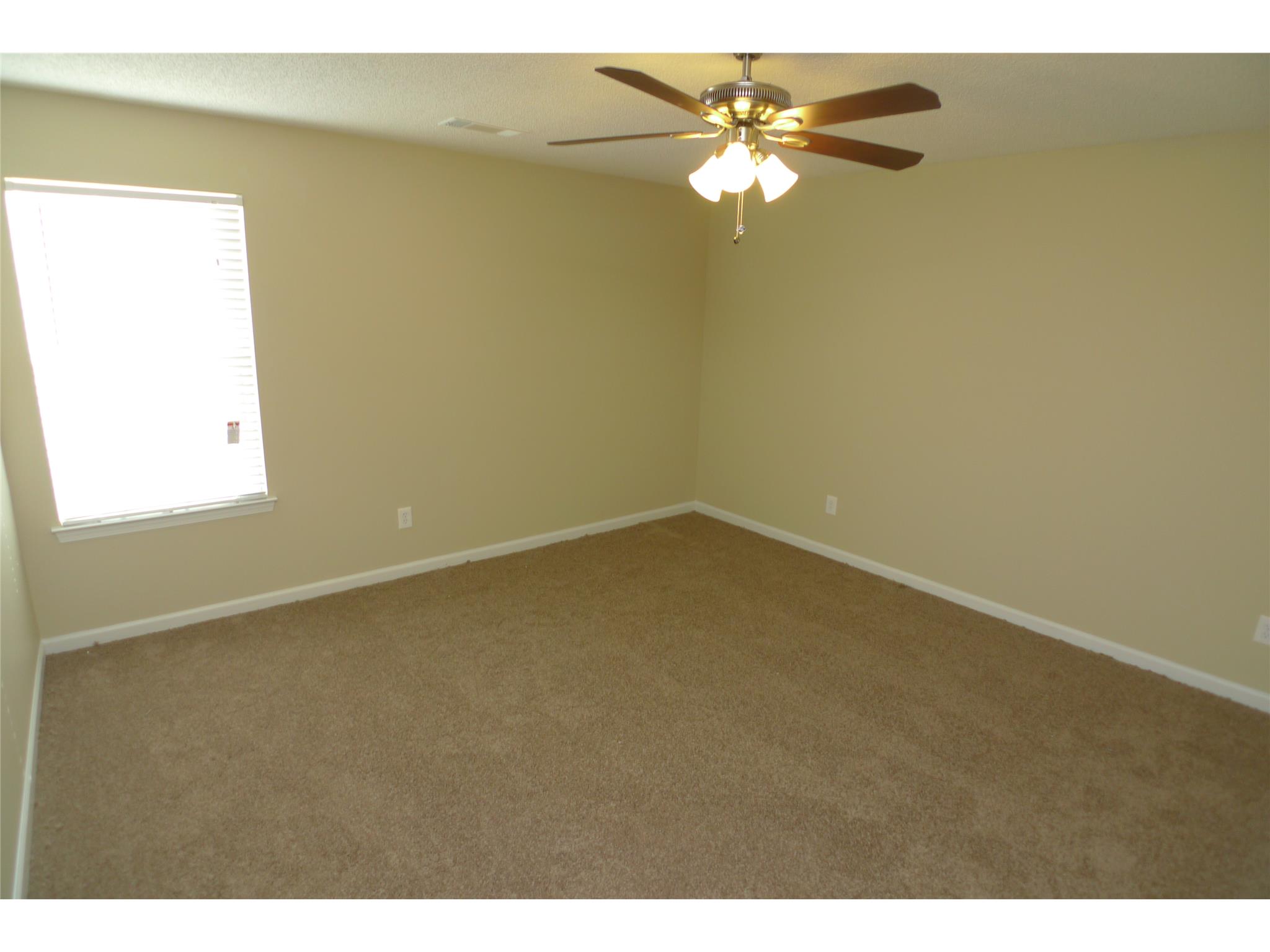 169 Kyndal Dr, Hampton, GA 30228 photo 19