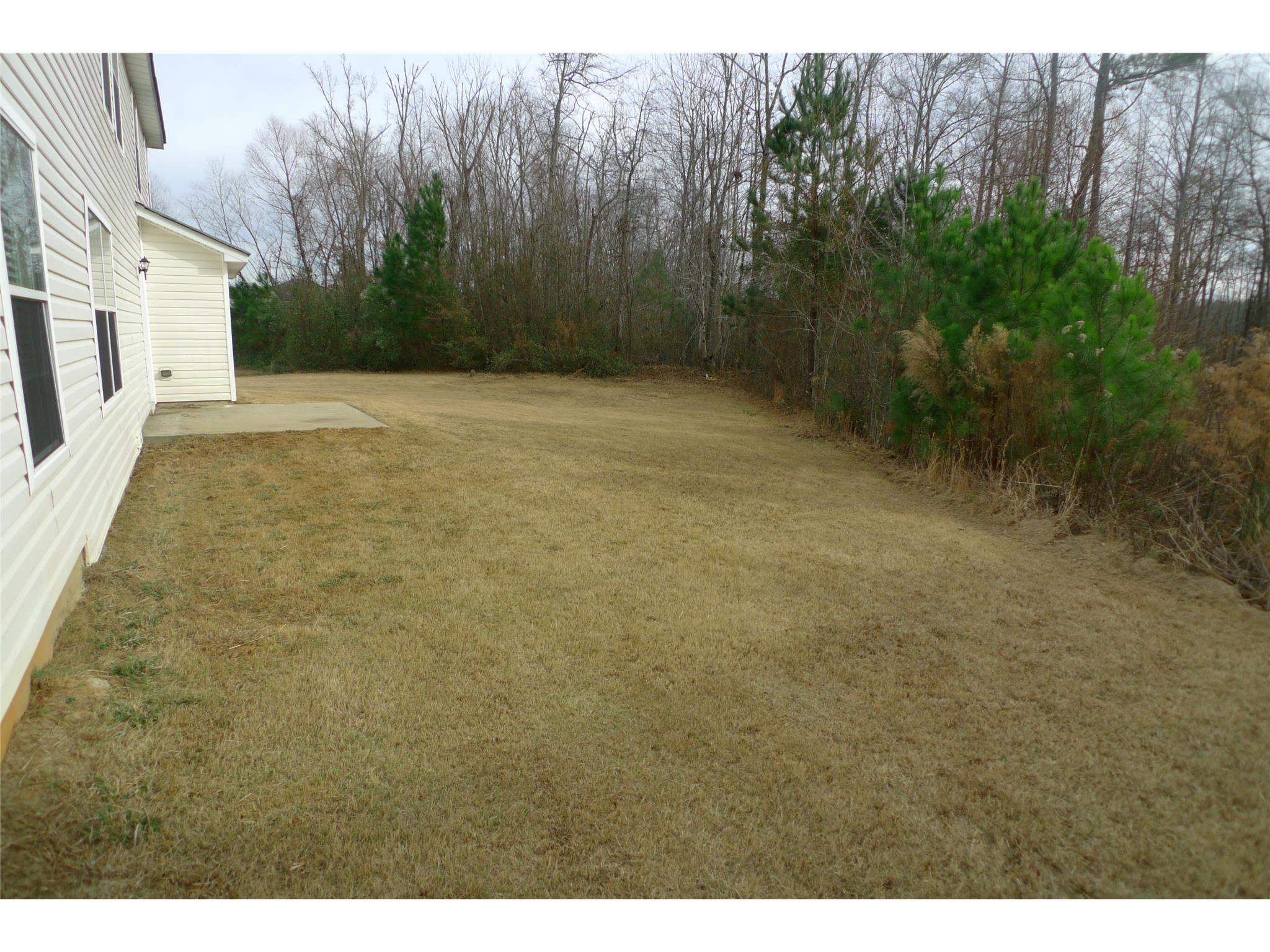 169 Kyndal Dr, Hampton, GA 30228 photo 20