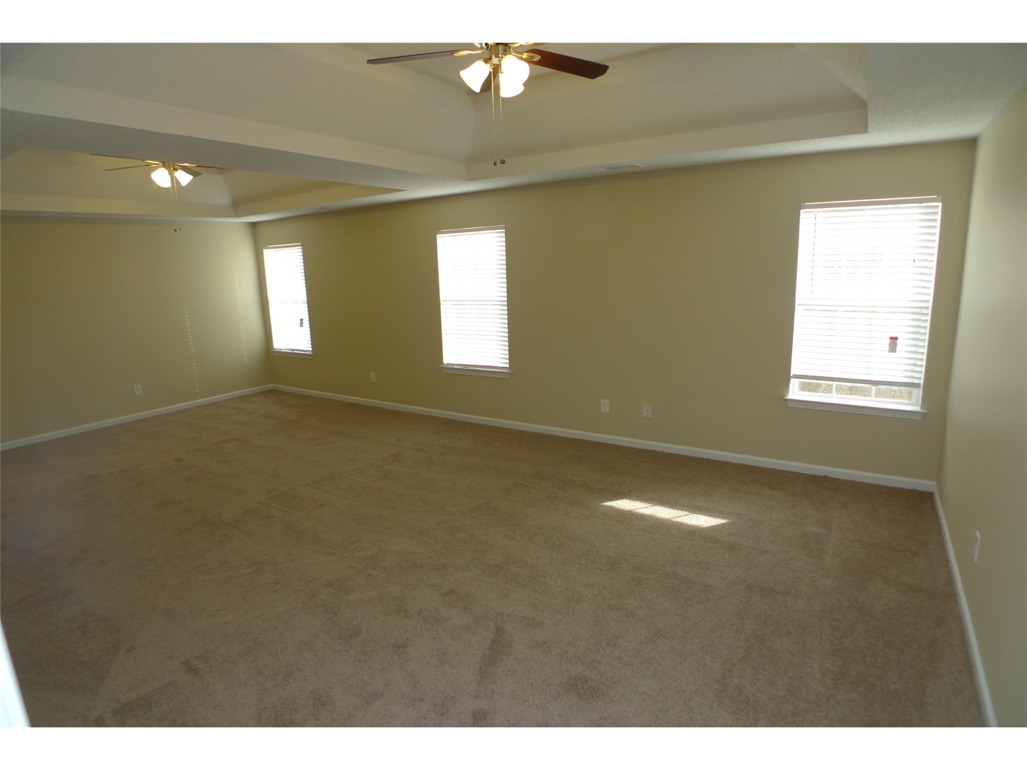 169 Kyndal Dr, Hampton, GA 30228 photo 11