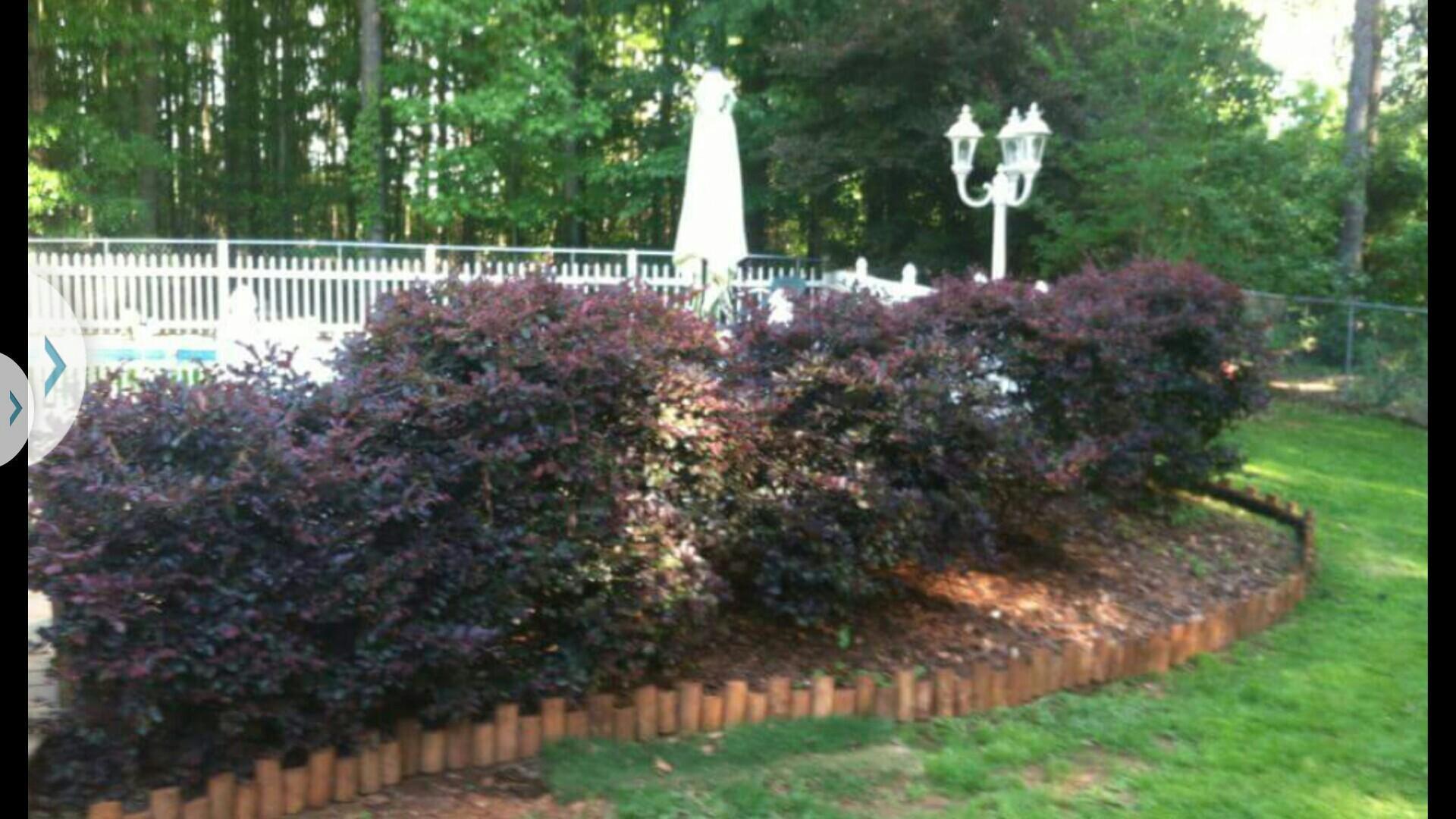 701 Ward Rd, Williamson, GA 30292 photo 18