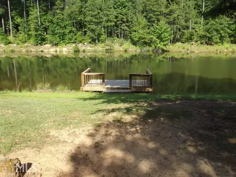 451 Pates Lake Ct, Hampton, GA 30228 photo 5
