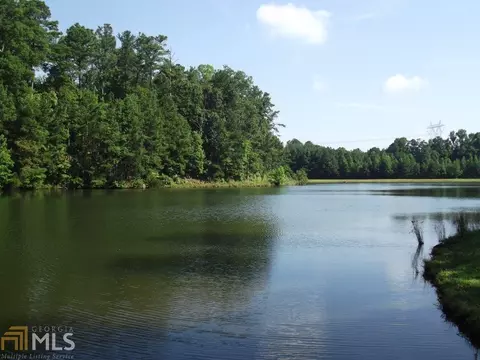 451 Pates Lake Ct, Hampton, GA 30228 photo 6
