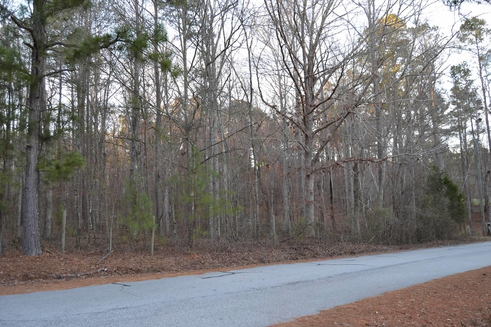 165 Avalon Rd, Covington, GA 30014 photo 7
