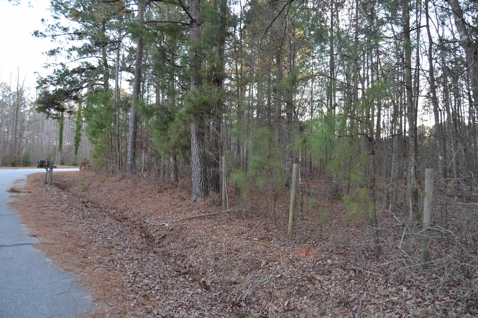 165 Avalon Rd, Covington, GA 30014 photo 5