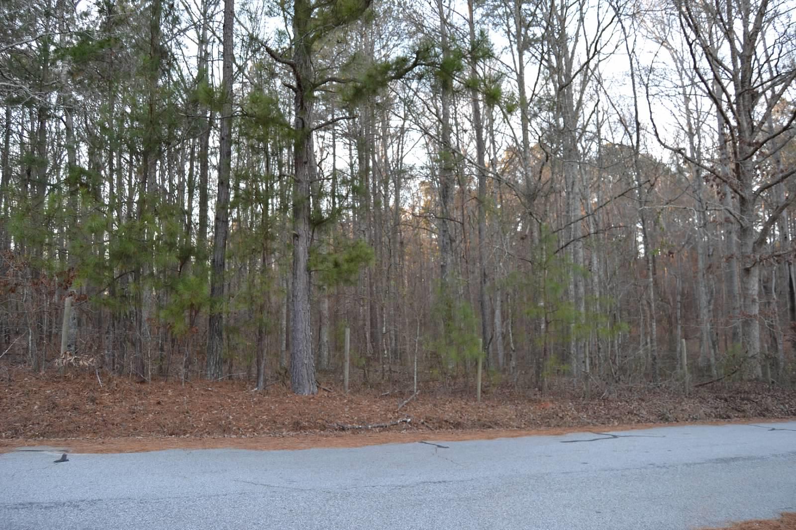 165 Avalon Rd, Covington, GA 30014 photo 6