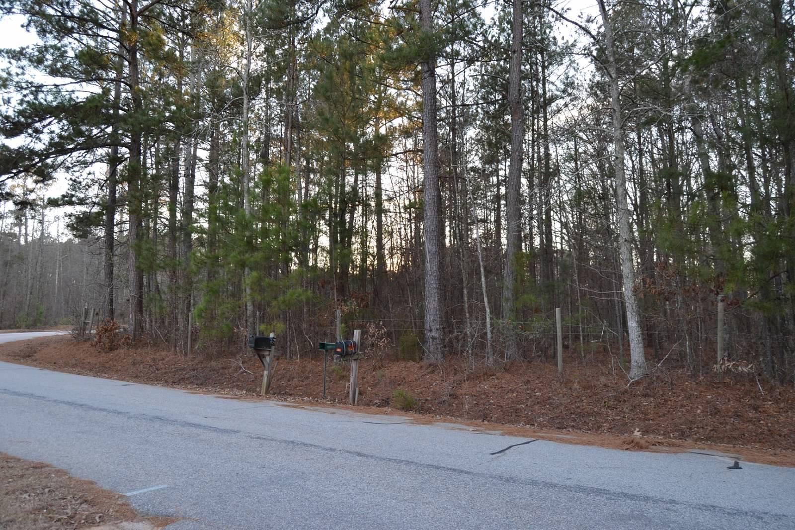 165 Avalon Rd, Covington, GA 30014 photo 8