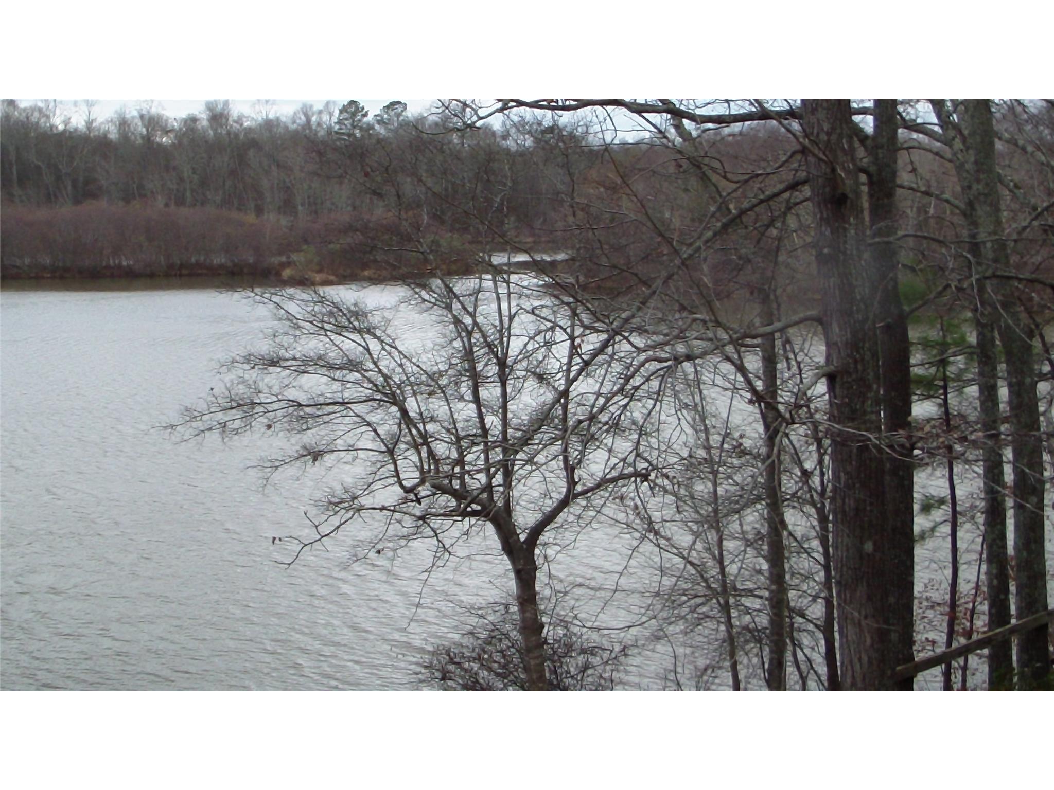 201 Weavers Lakefront Rd, Jackson, GA 30233 photo 5