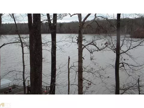 201 Weavers Lakefront Rd, Jackson, GA 30233 photo 4