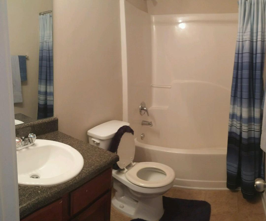 1763 Sandy Trail Dr, Hampton, GA 30228 photo 6