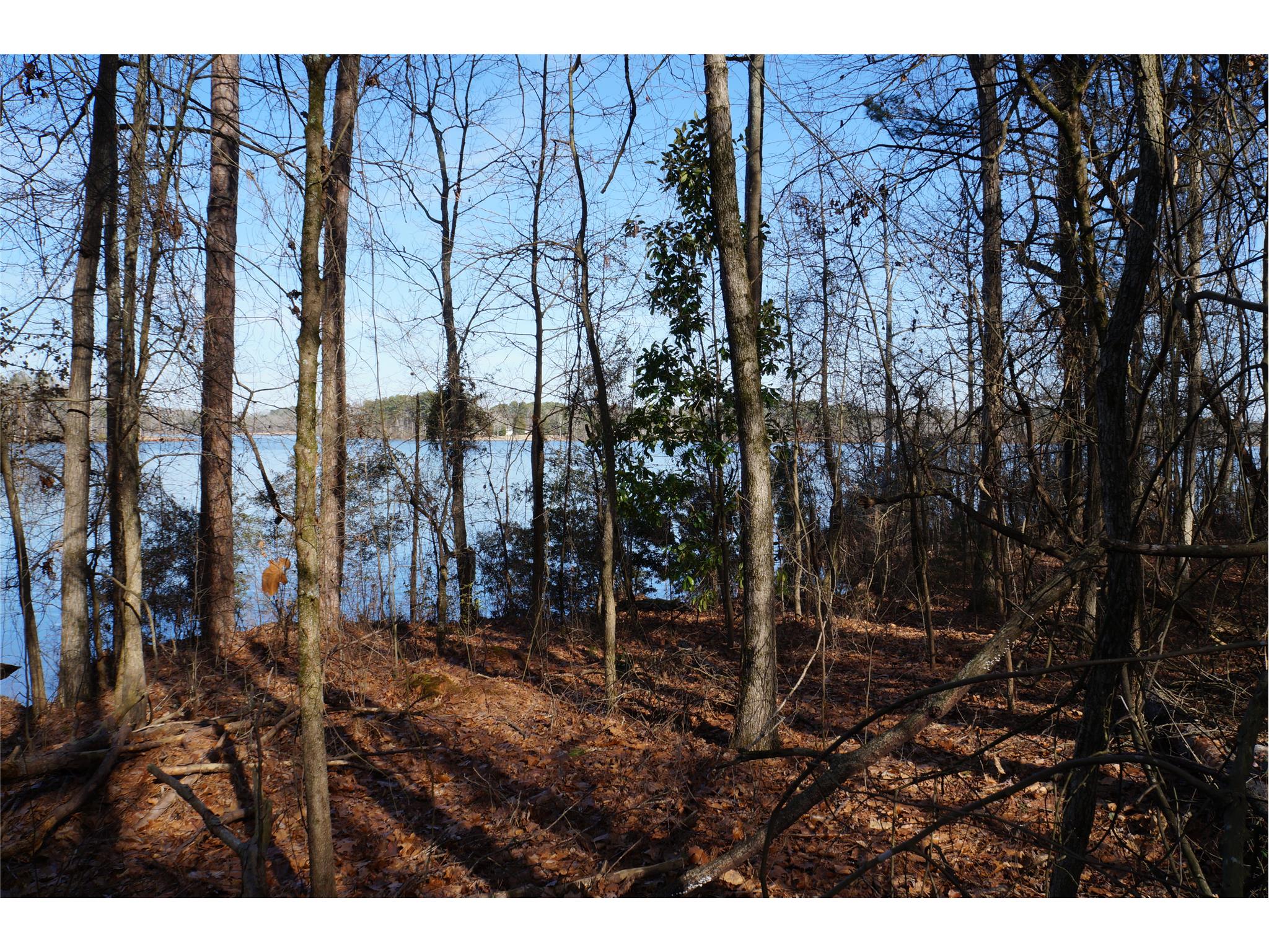 145 Cornish Trace Dr, Covington, GA 30014 photo 4