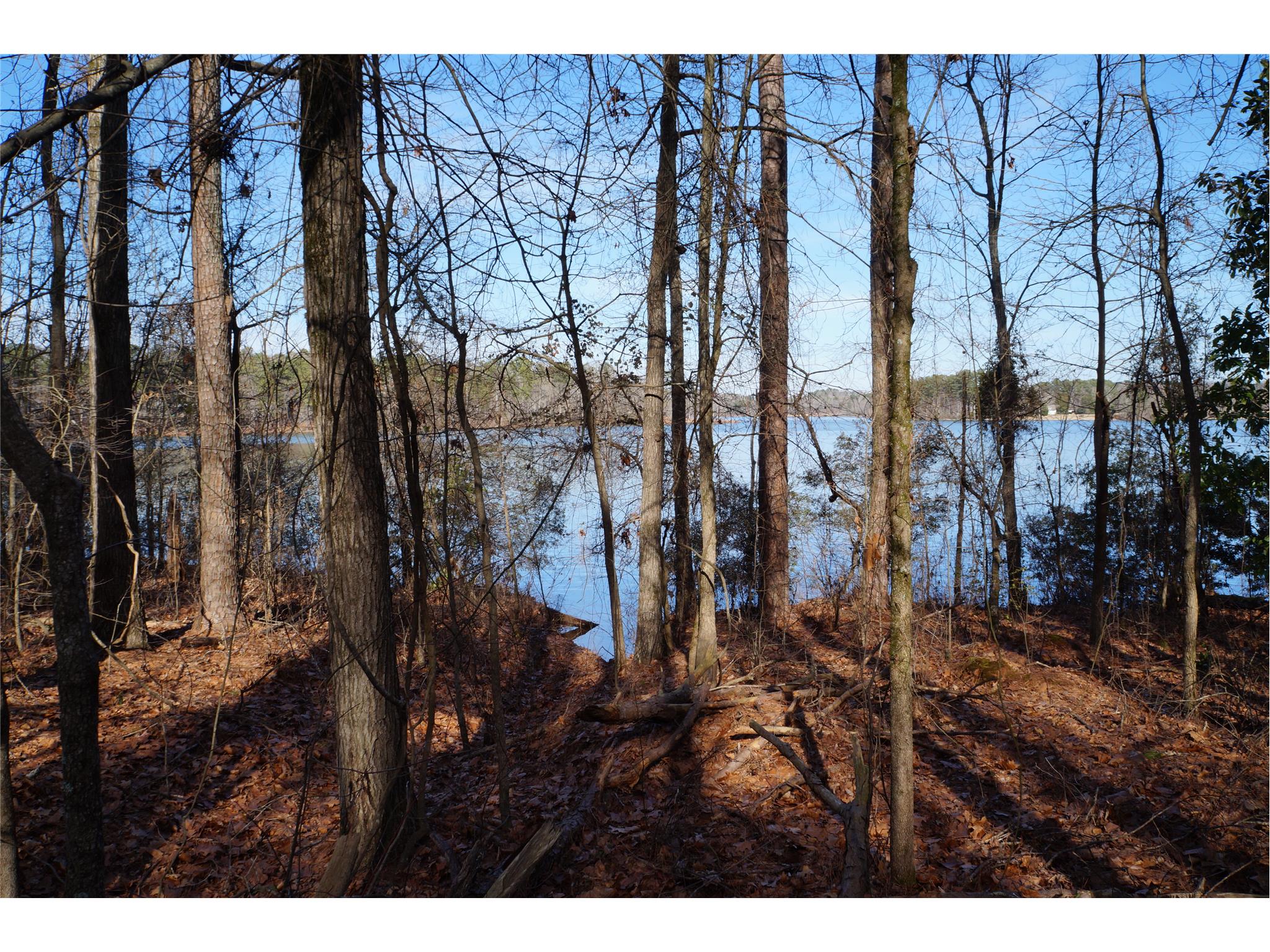 145 Cornish Trace Dr, Covington, GA 30014 photo 2