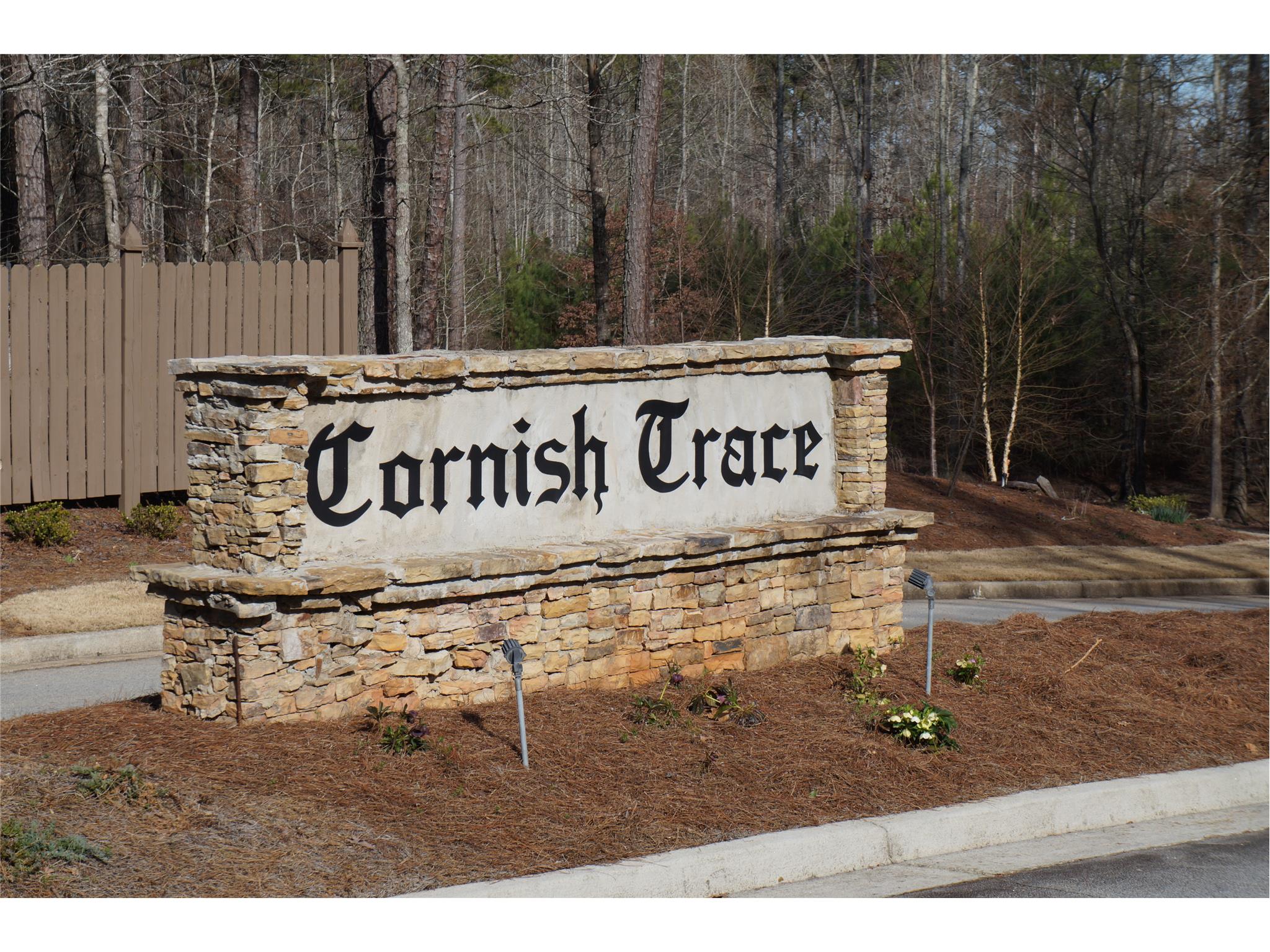 145 Cornish Trace Dr, Covington, GA 30014 photo 5