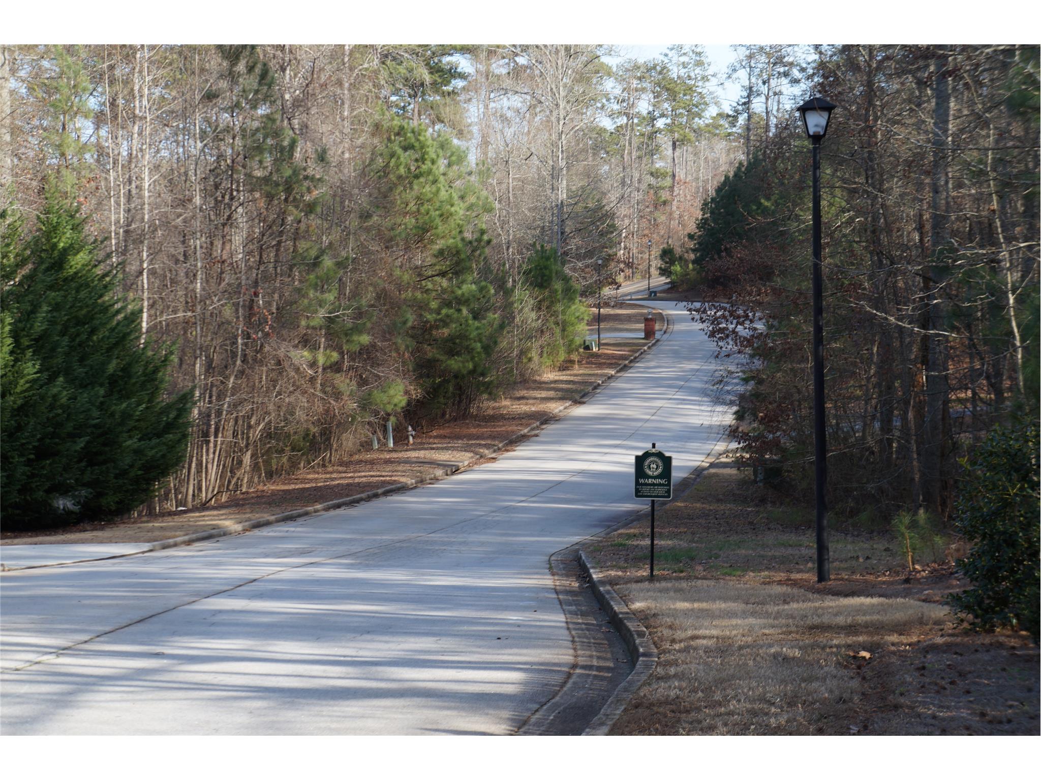 145 Cornish Trace Dr, Covington, GA 30014 photo 6