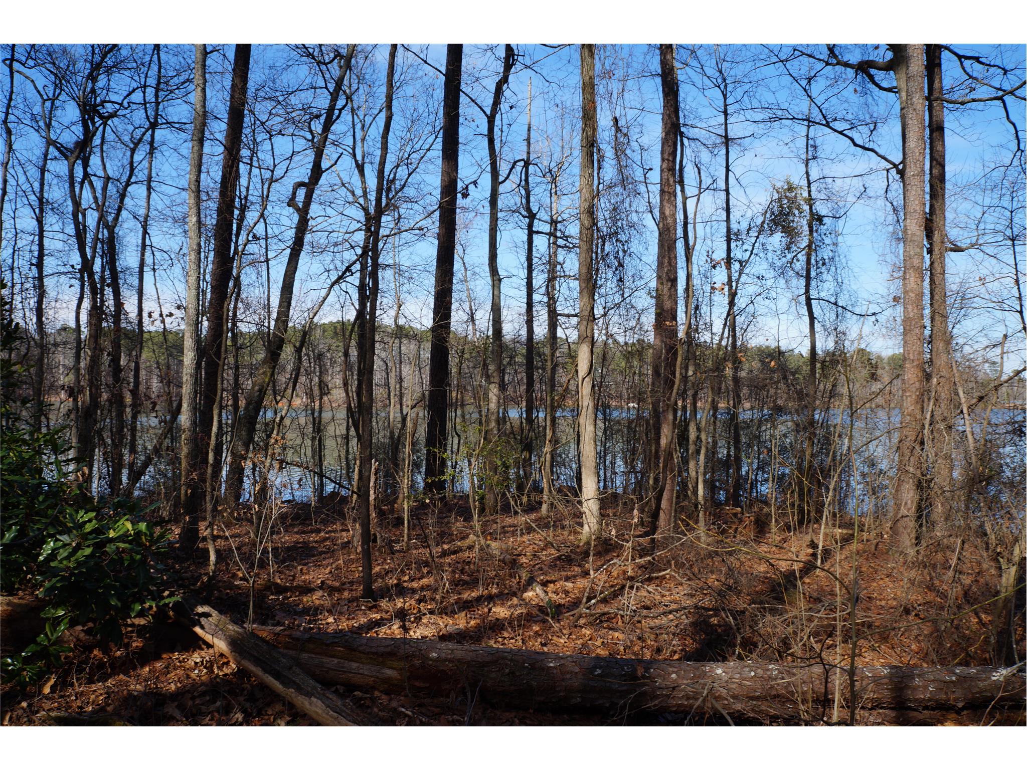 145 Cornish Trace Dr, Covington, GA 30014 photo 3