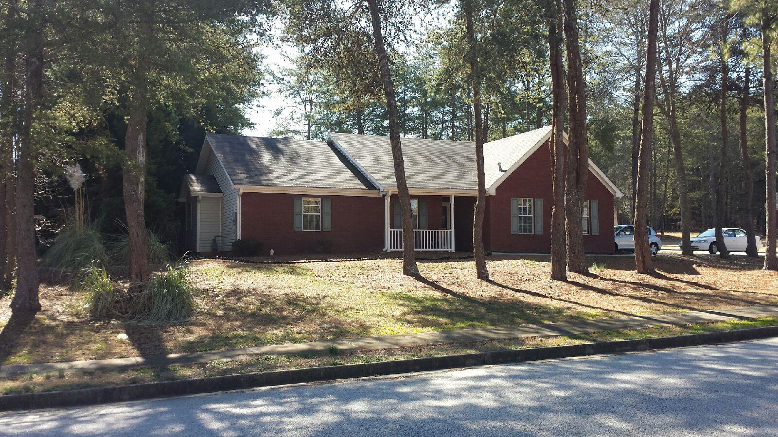 301 Lacebark Ln, Hampton, GA 30228 photo 2