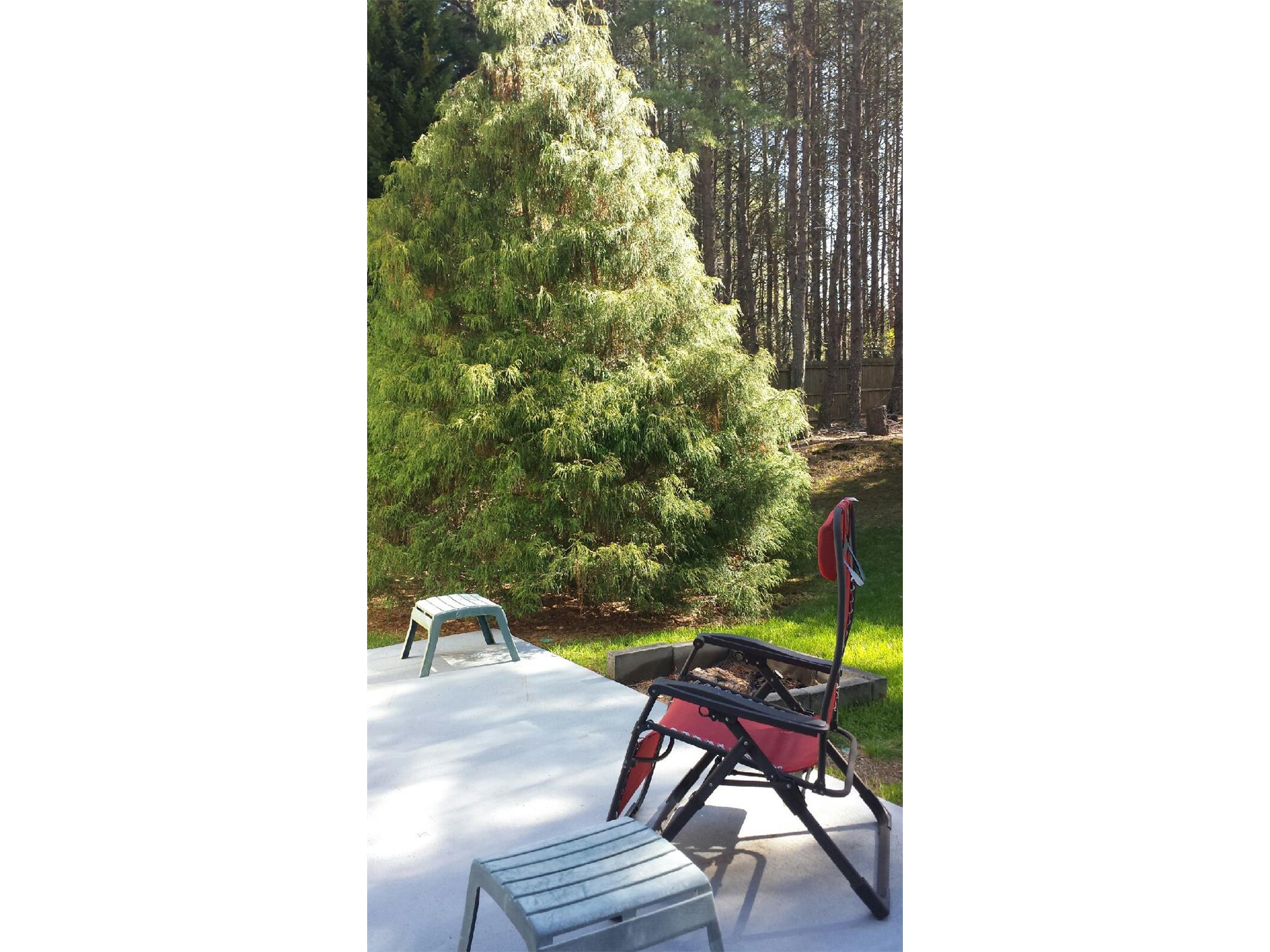 301 Lacebark Ln, Hampton, GA 30228 photo 11