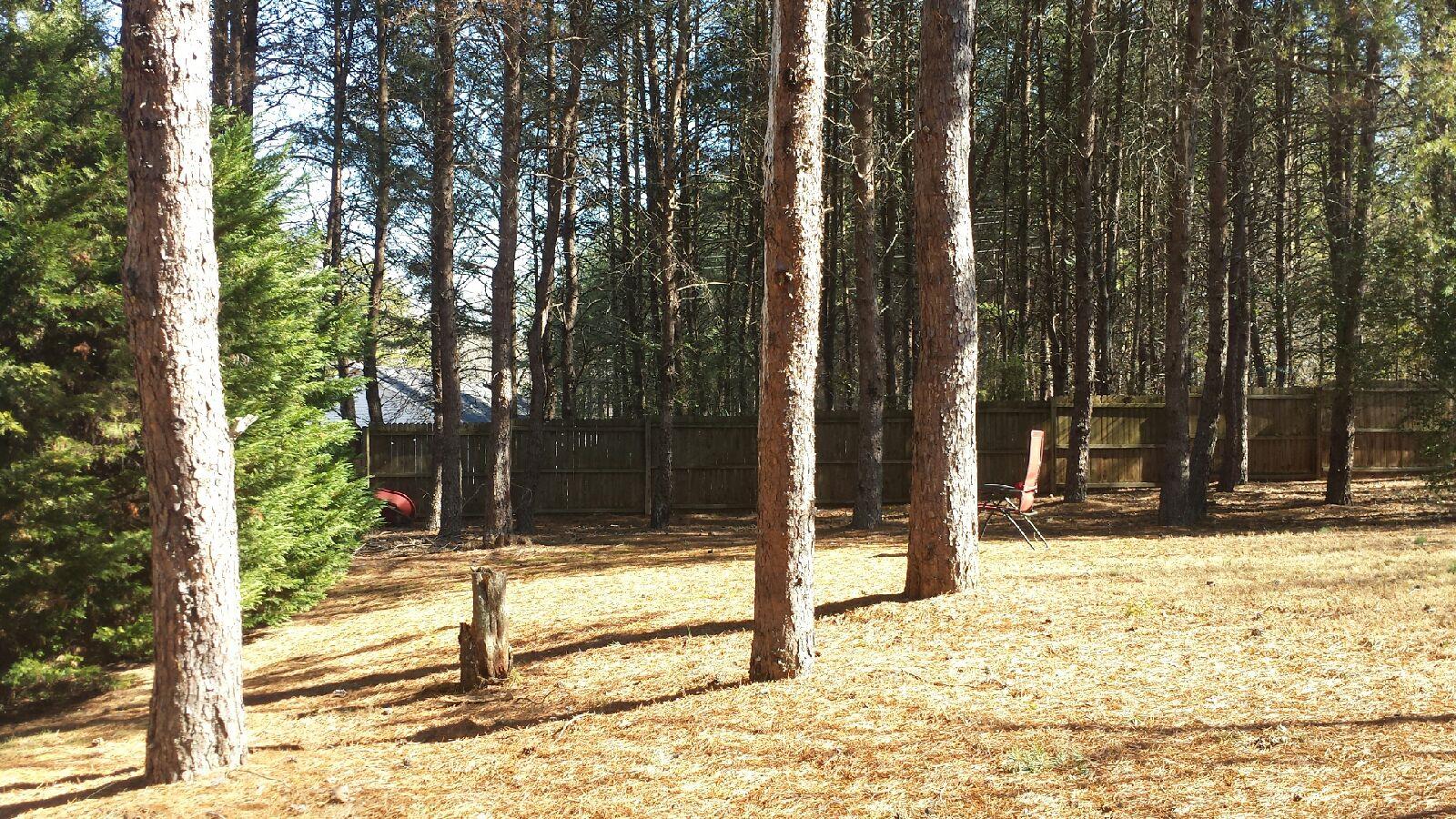 301 Lacebark Ln, Hampton, GA 30228 photo 12