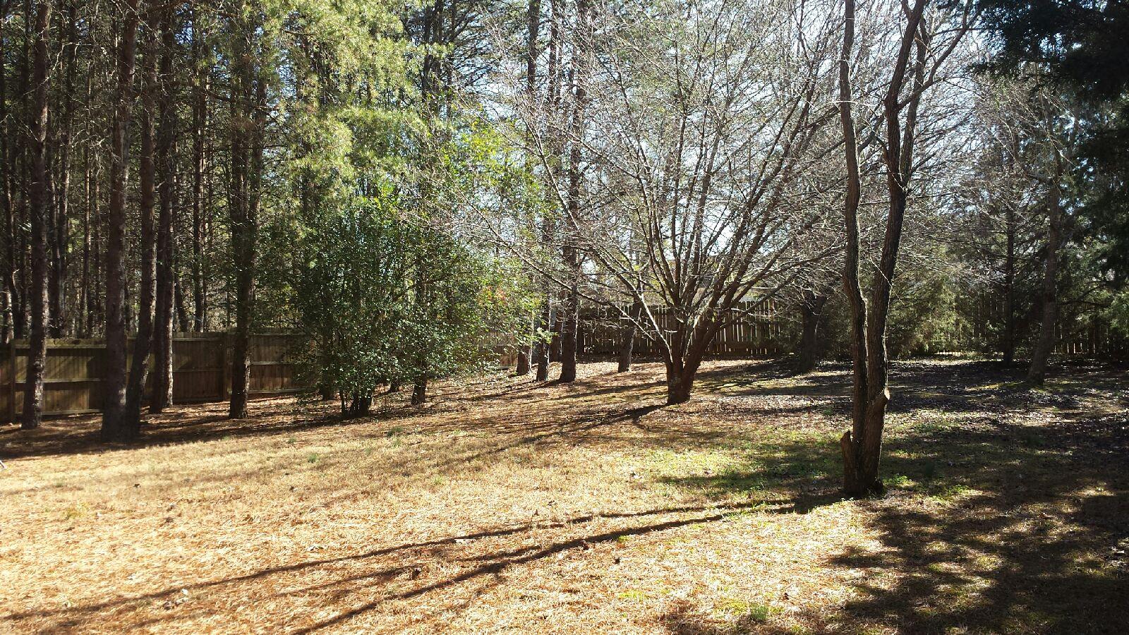 301 Lacebark Ln, Hampton, GA 30228 photo 13