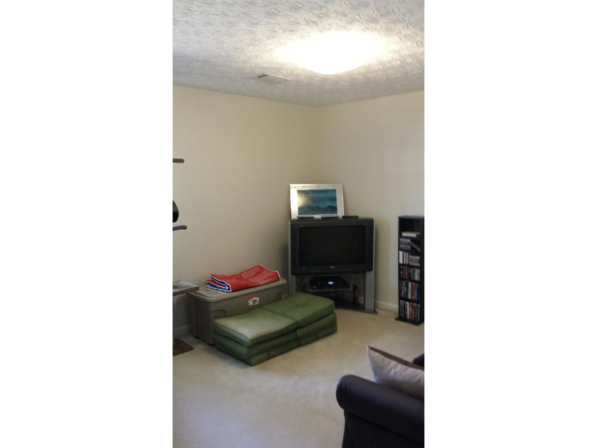 301 Lacebark Ln, Hampton, GA 30228 photo 9