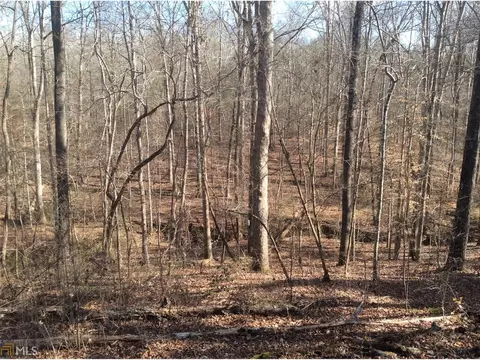 283 Lakeview Dr, Baldwin, GA 30511 photo 11