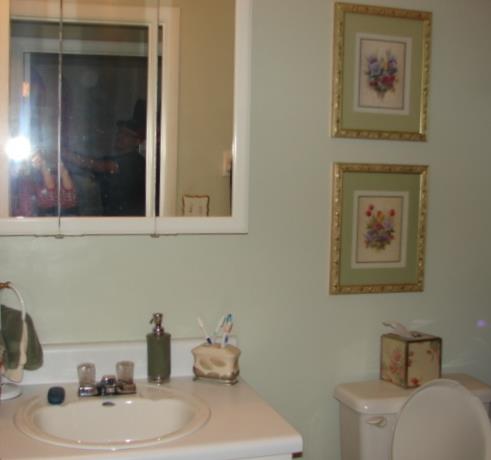 106 Elmwood Dr, Hampton, GA 30228 photo 12