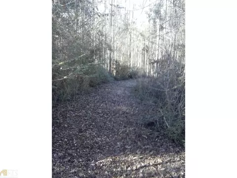 678 Bell Rd, Brooklet, GA 30415 photo 12