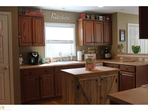 225 Eaves Bridge Rd, Buchanan, GA 30113 photo 11