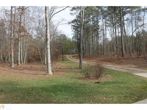 225 Eaves Bridge Rd, Buchanan, GA 30113 photo 8