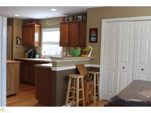 225 Eaves Bridge Rd, Buchanan, GA 30113 photo 13